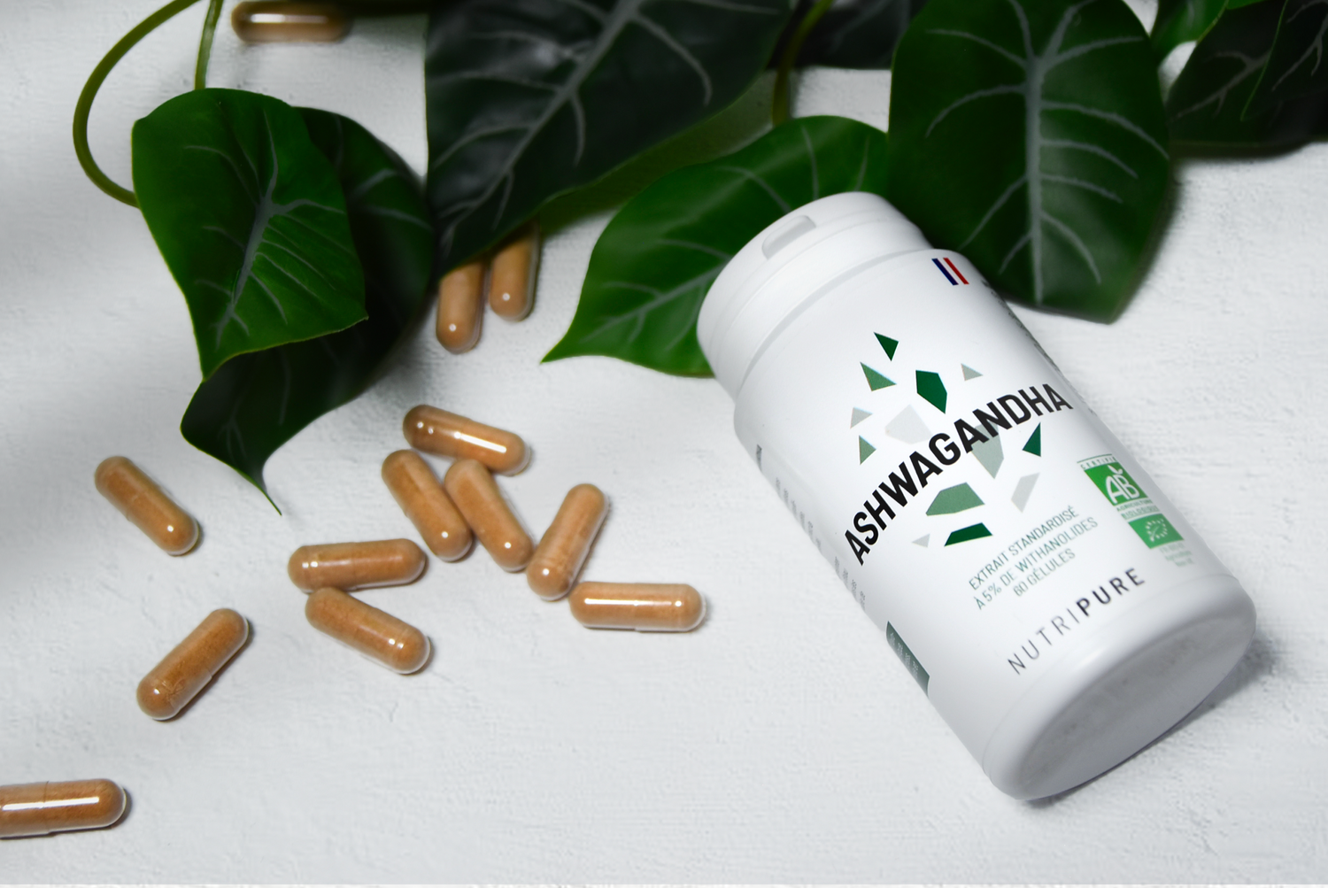 Ashwagandha: qué es y cuáles son sus beneficios para la salud
