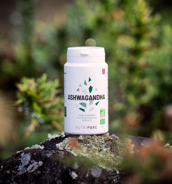 Ashwagandha: beneficios para el bienestar general de la mujer