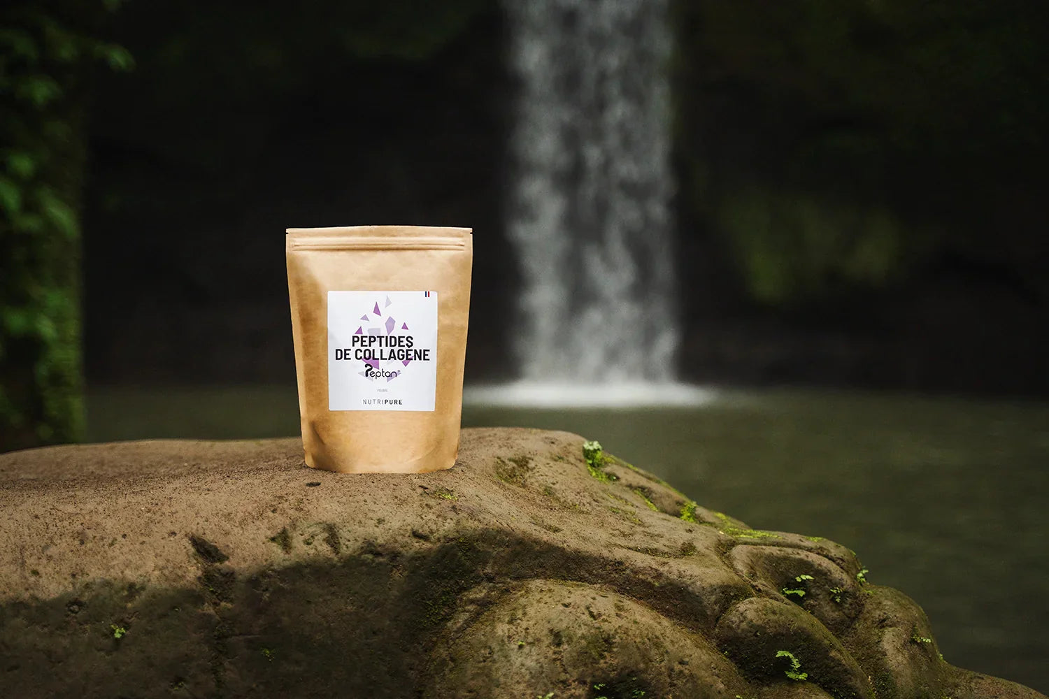 Alimentos con Colágeno: Guía, Beneficios y Poder Regenerador