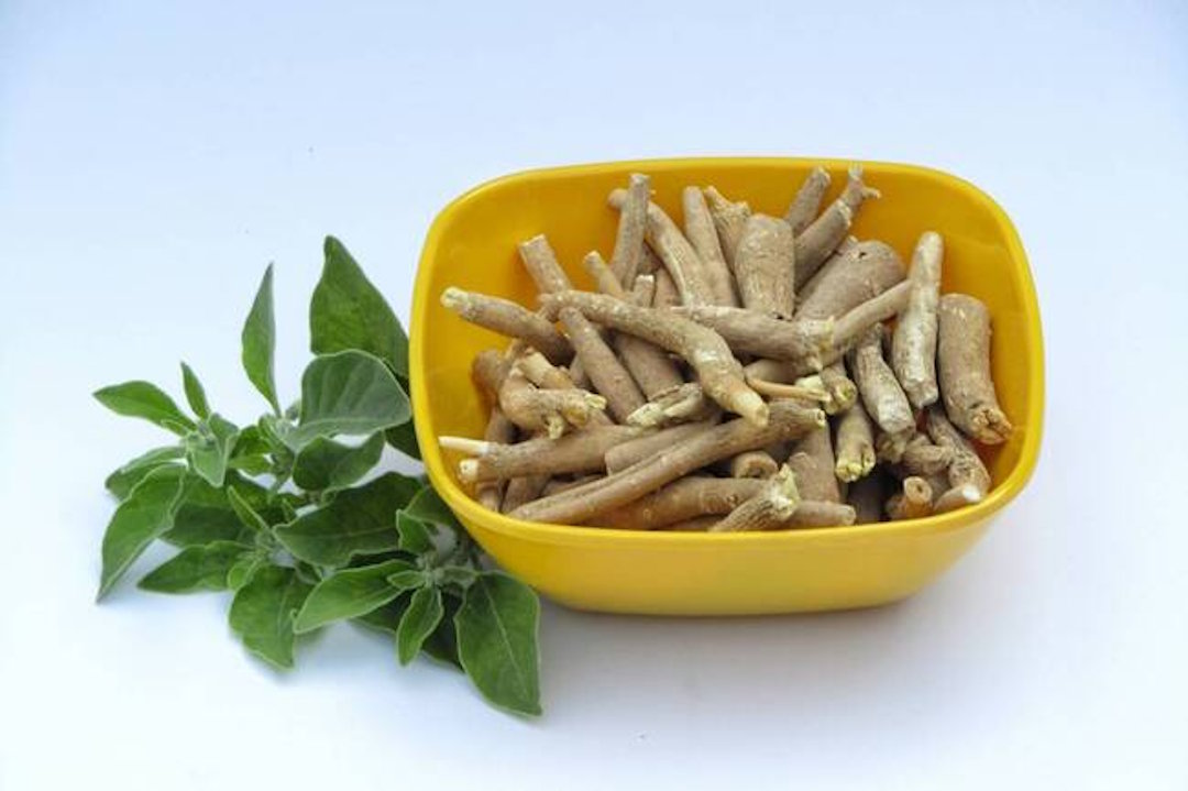 I benefici dell’ashwagandha per il cervello