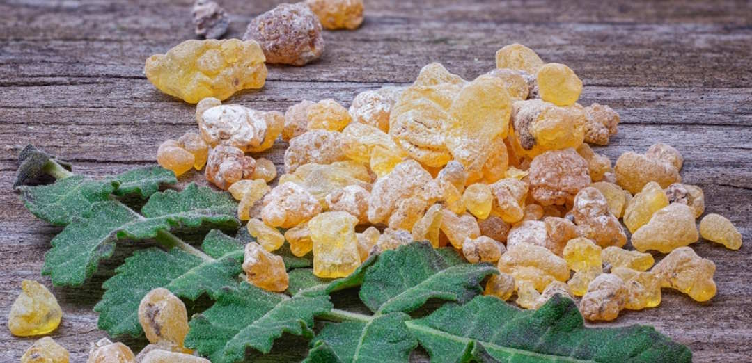 Boswellia a cosa serve