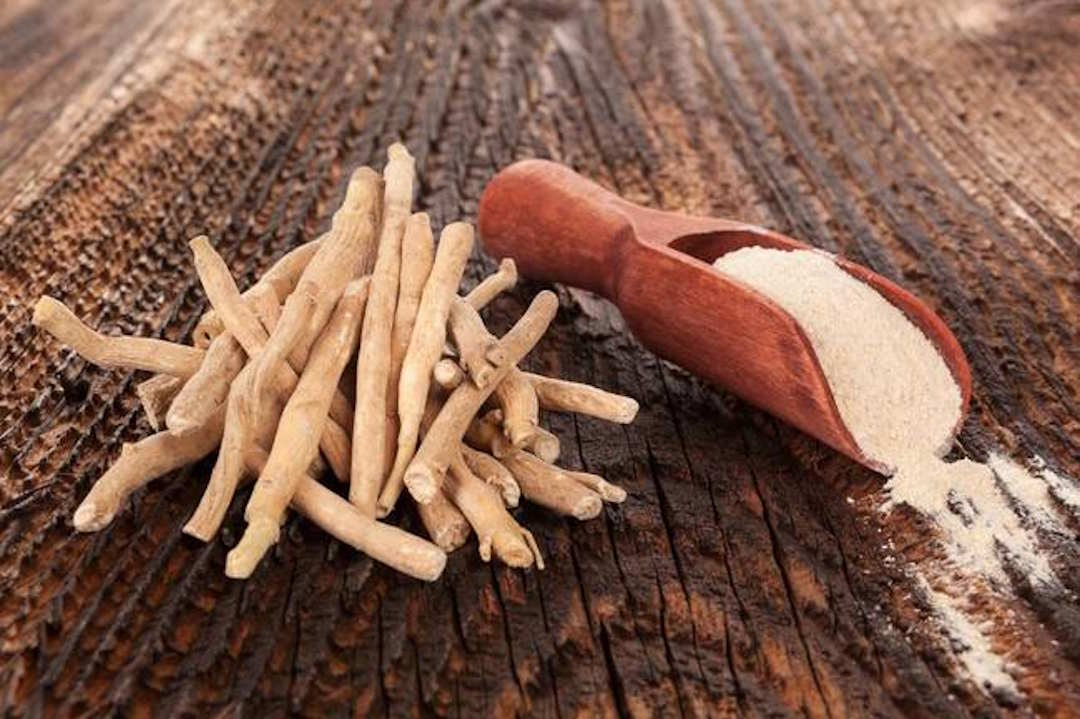 I benefici dell’ashwagandha per il cervello
