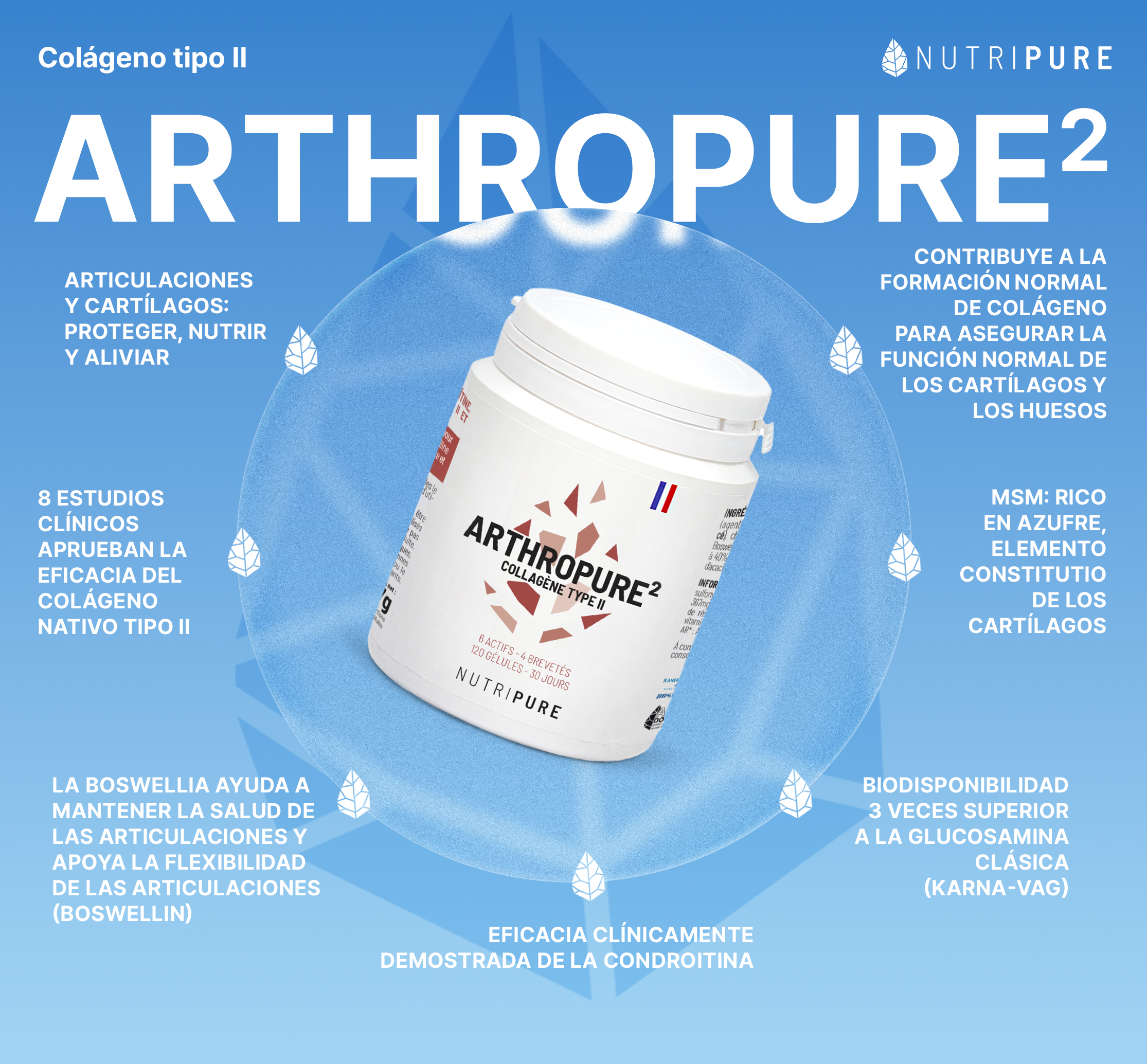 Arthropure²