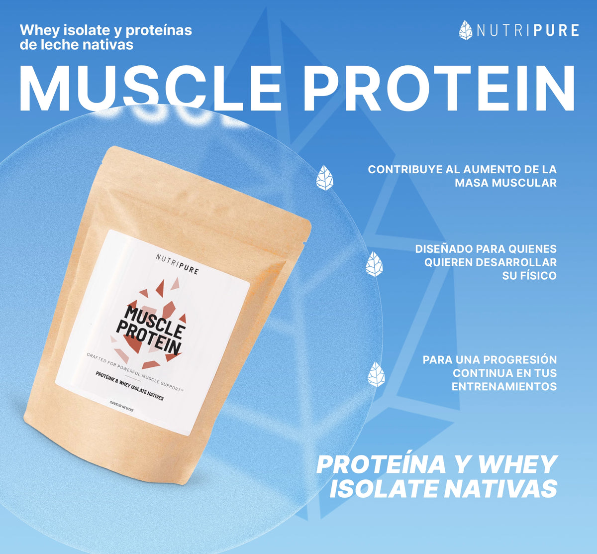 Muscle Protein
