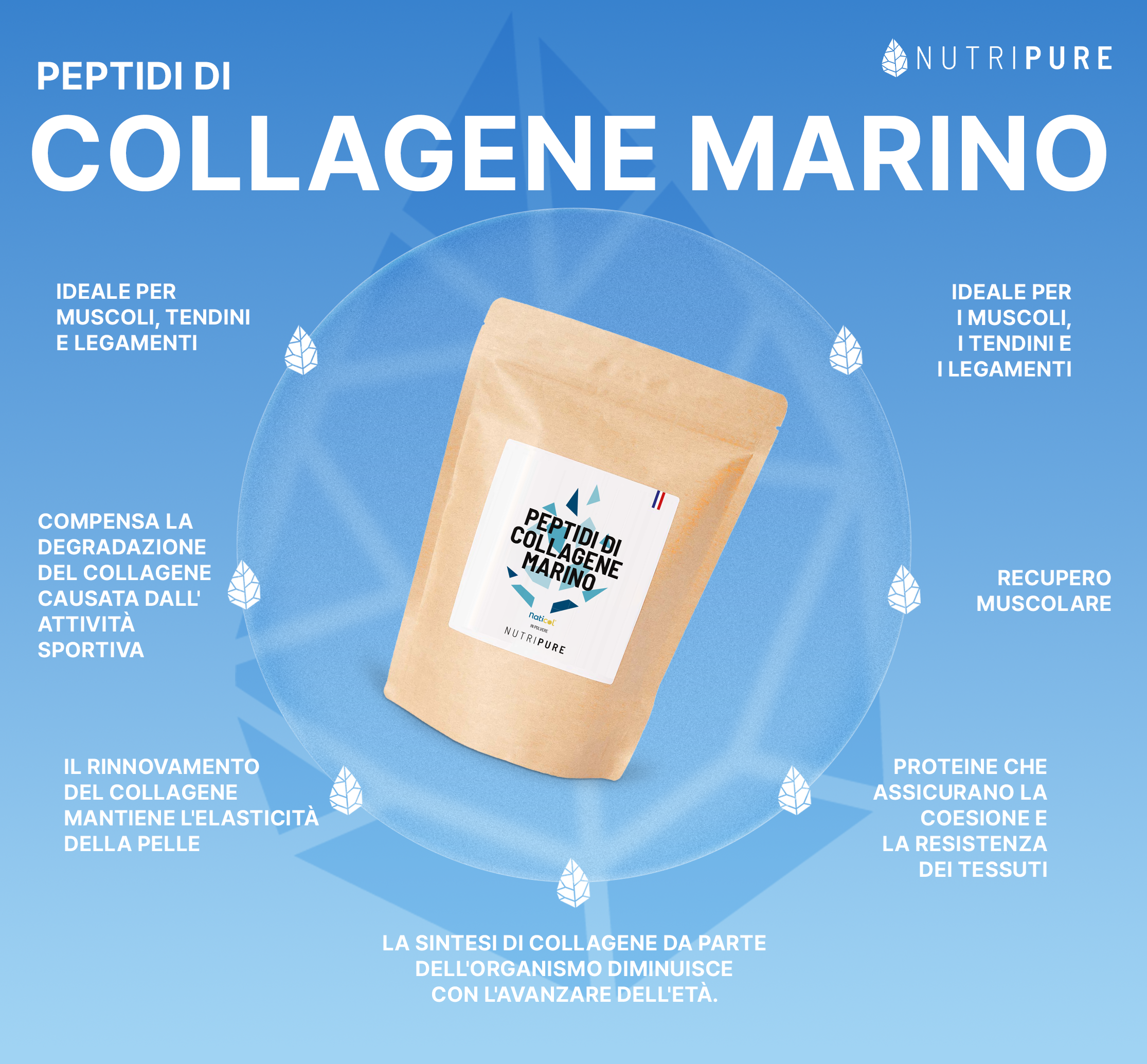Collagene Marino Selvaggio
