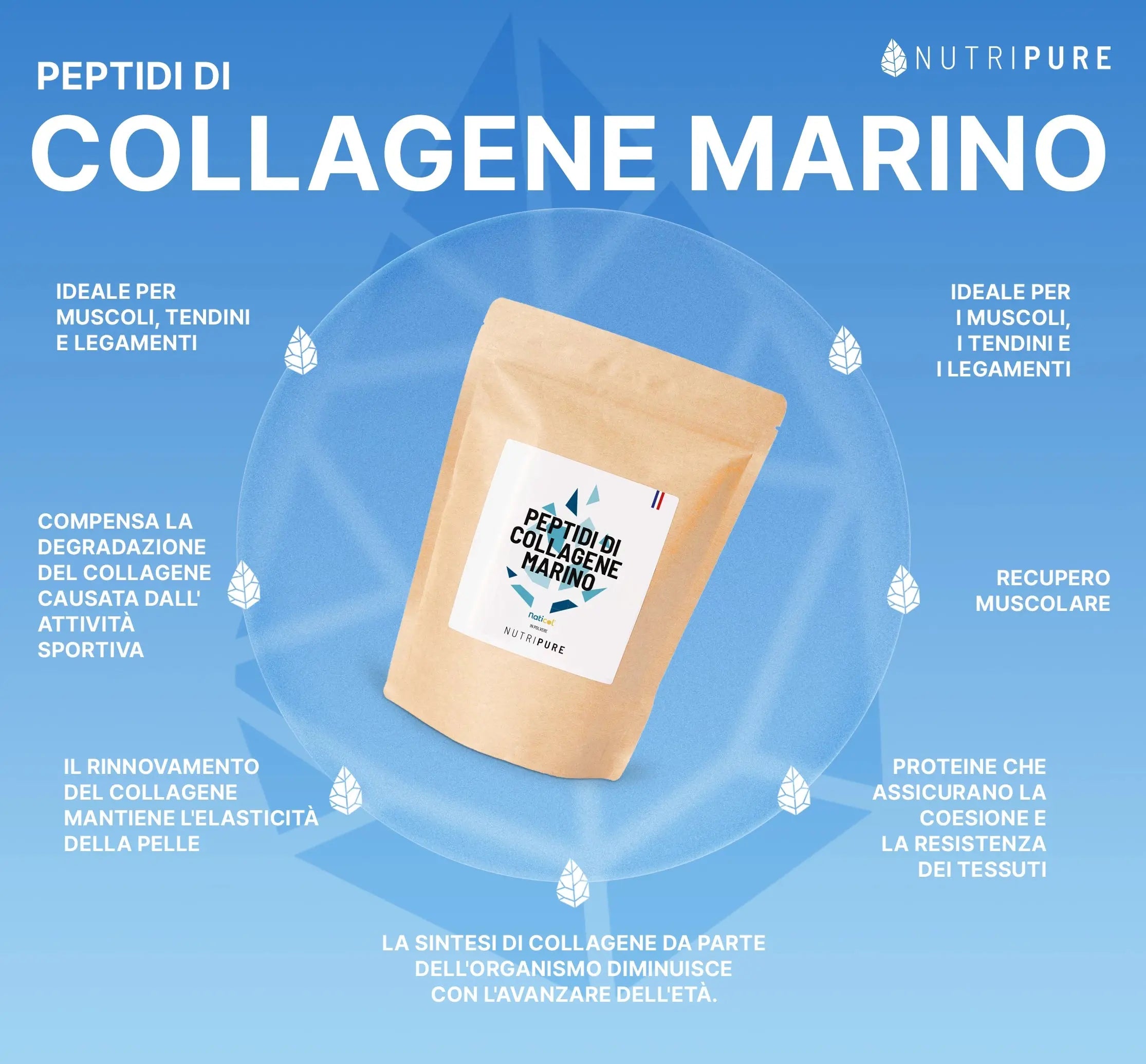 Collagene Marino Selvaggio Nutripure