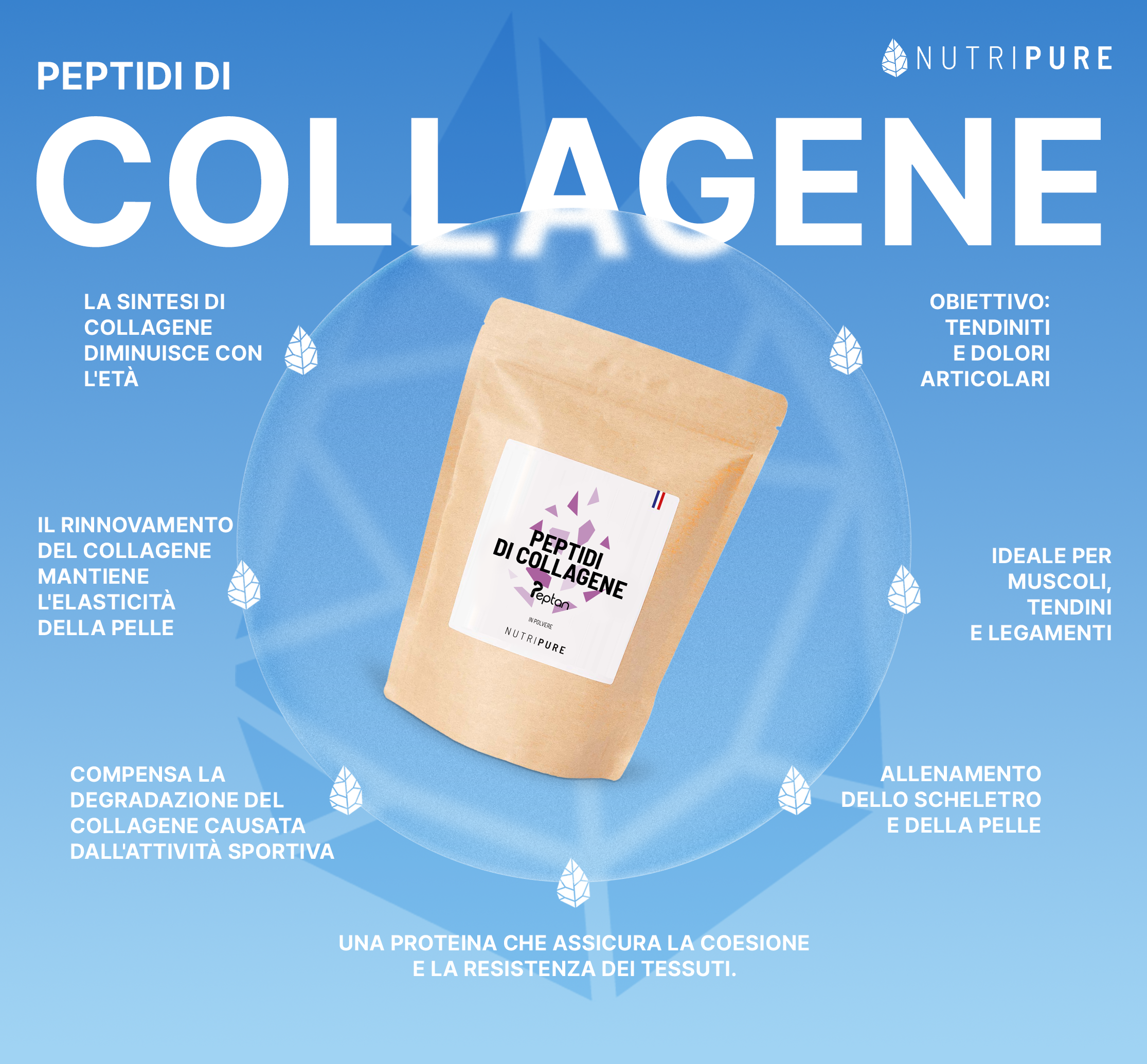 Collagene idrolizzato Peptan