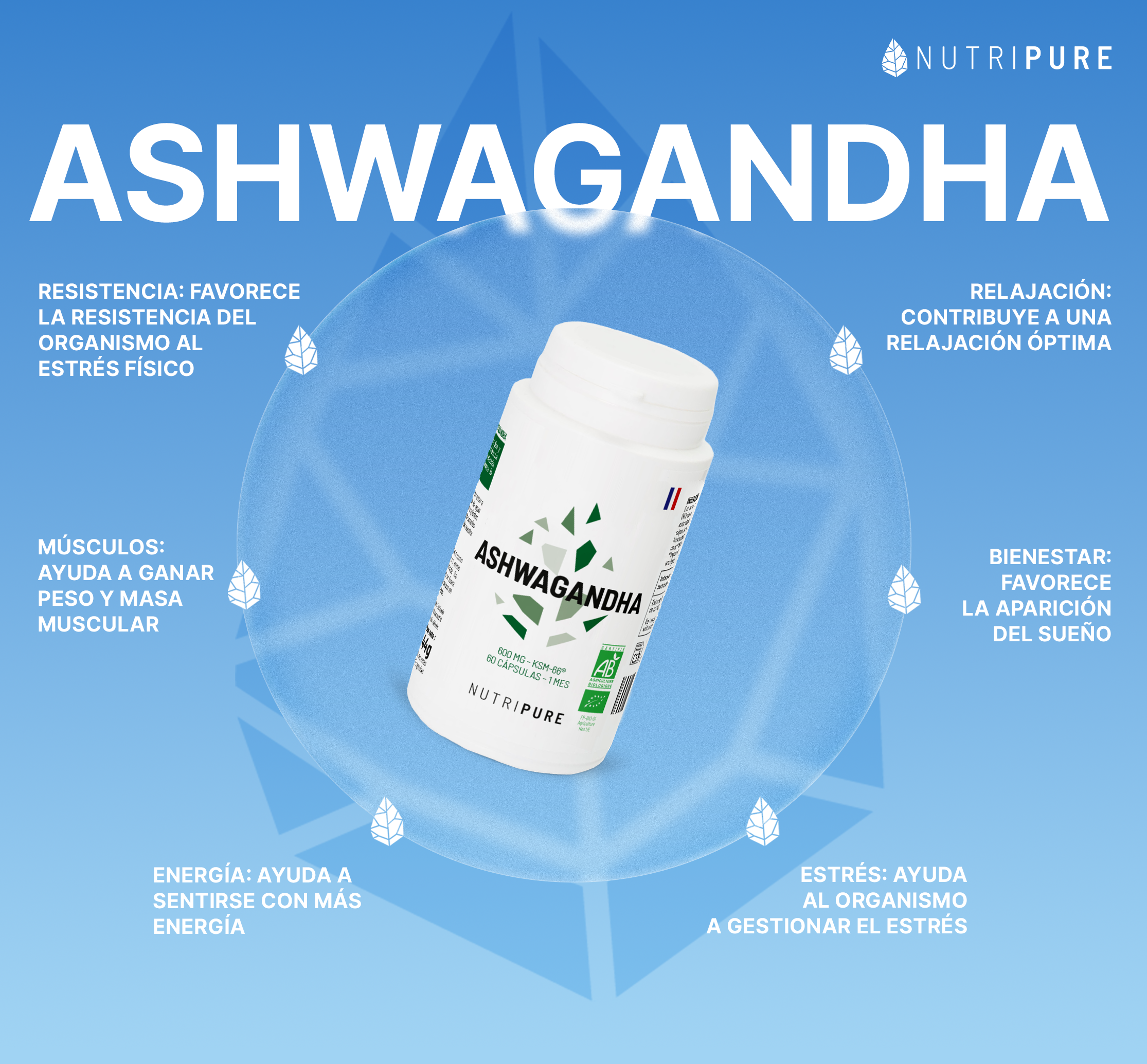 Ashwagandha orgánica KSM66