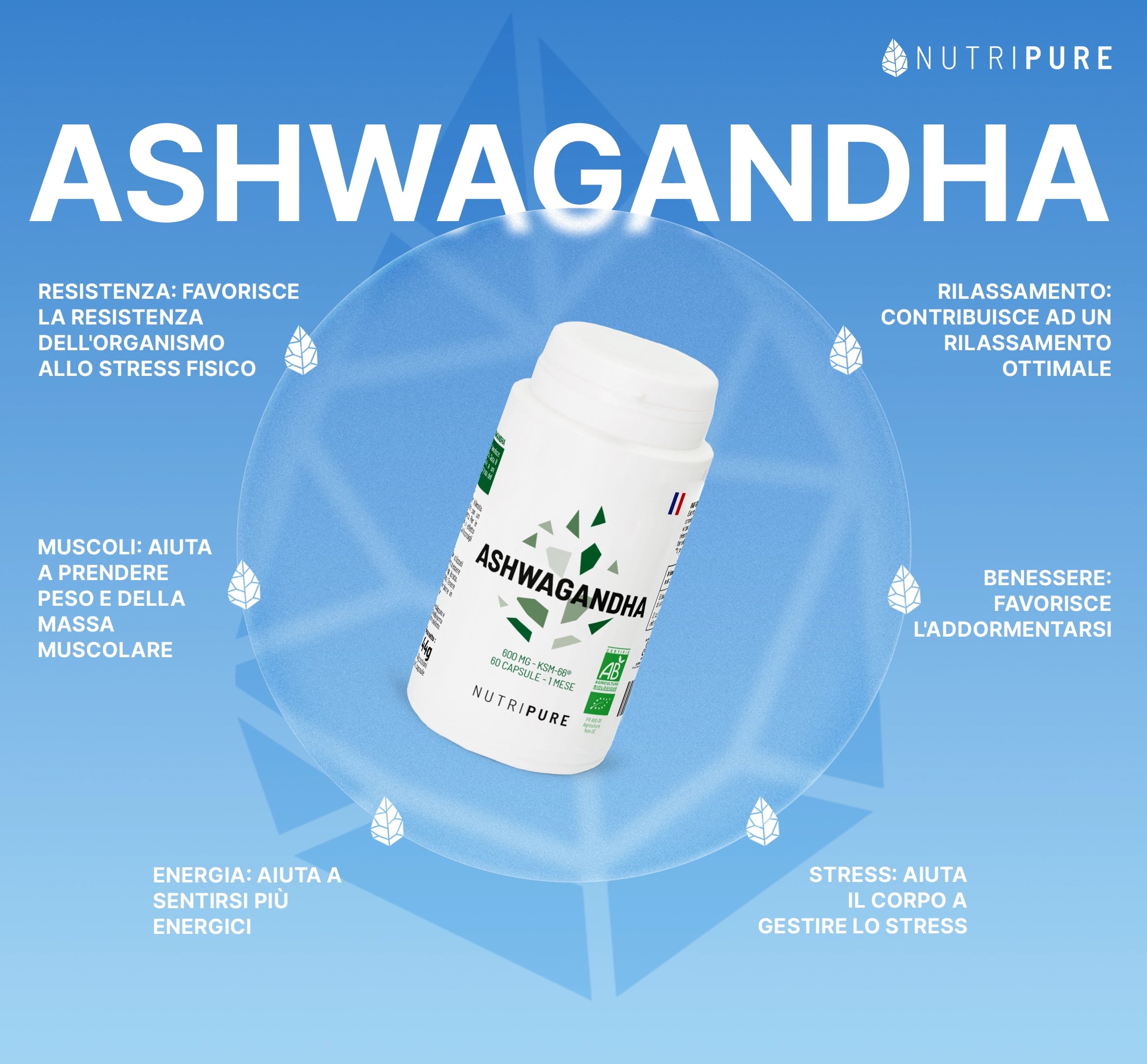 Ashwaganda bio KSM66