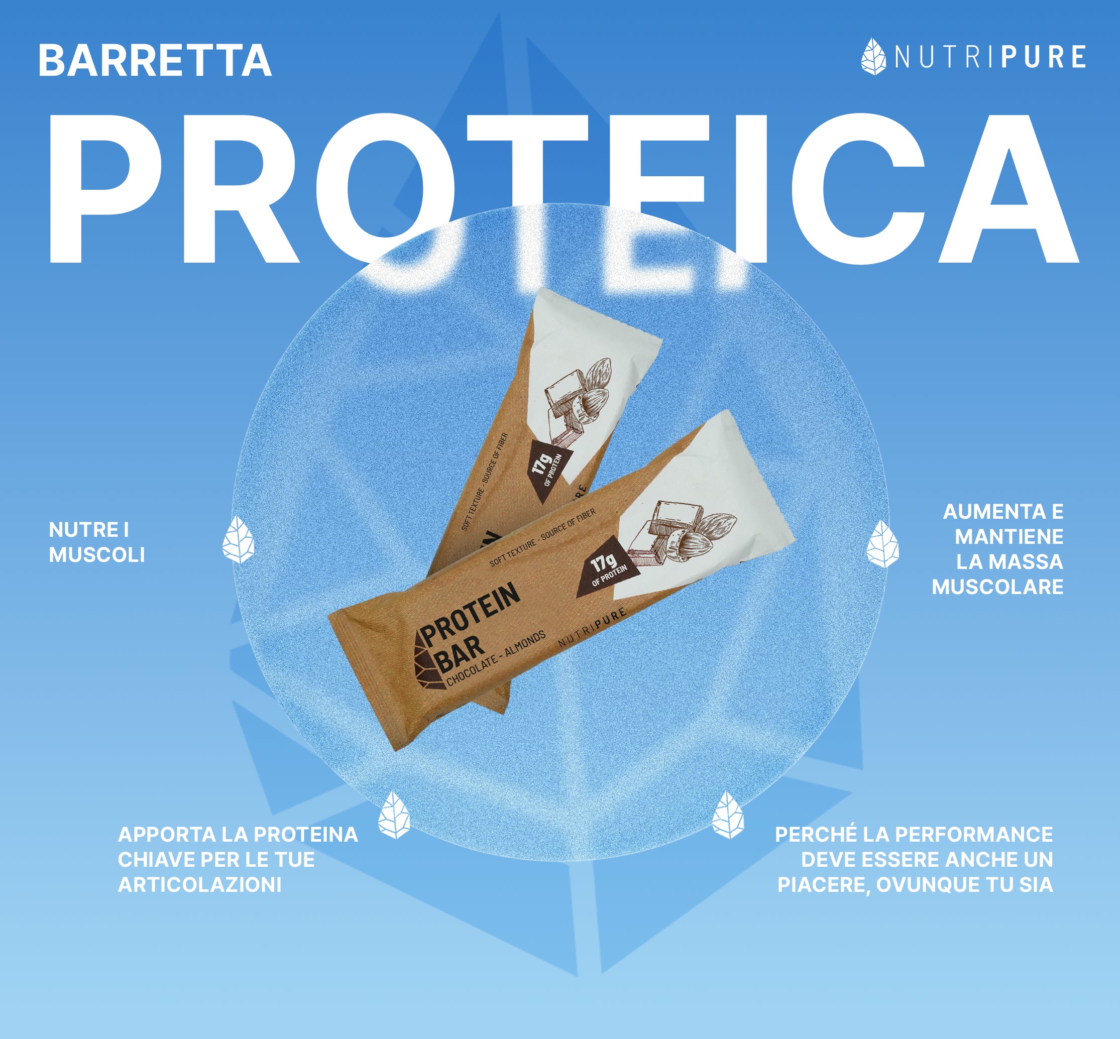 Barretta proteica