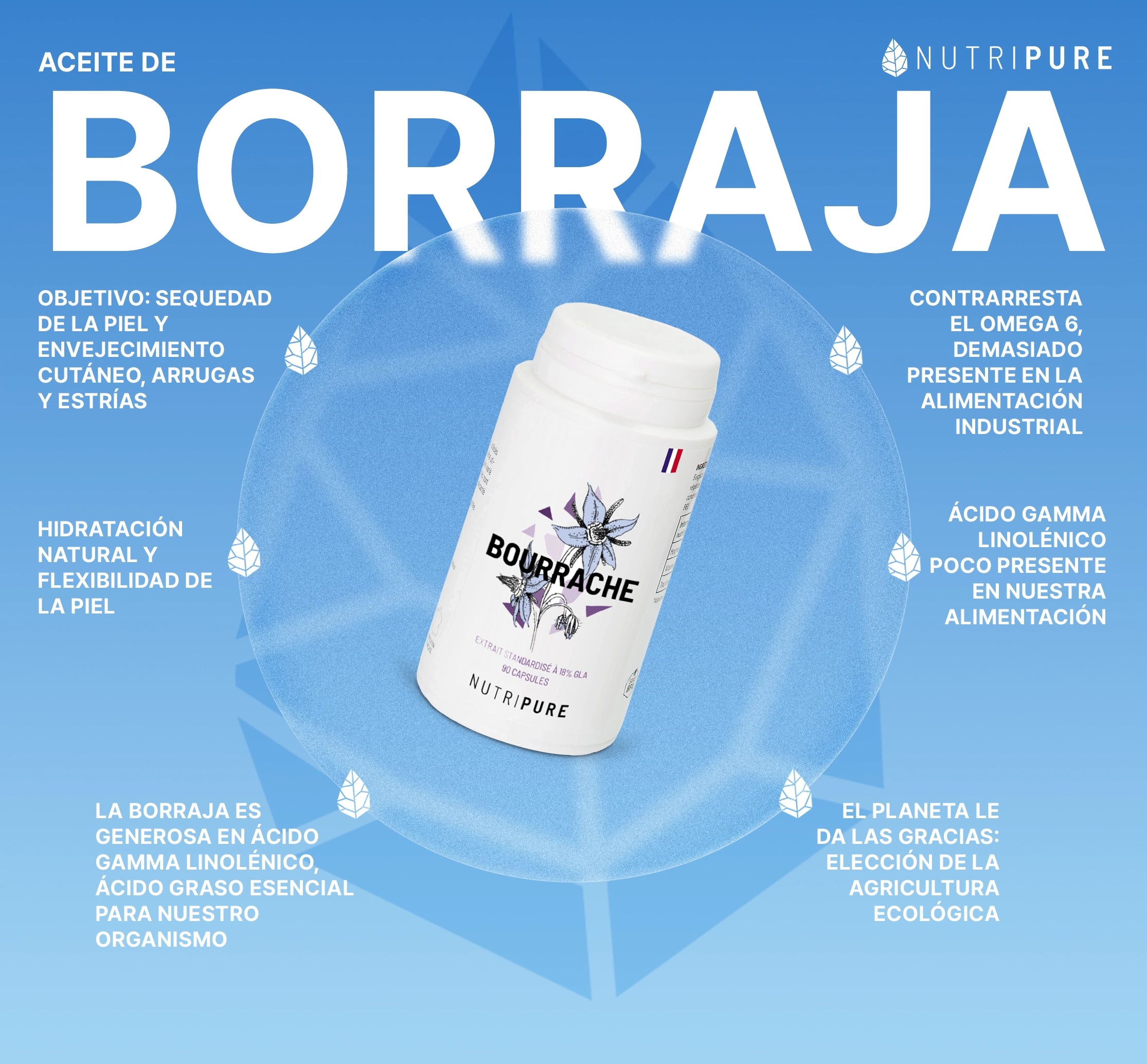 Aceite de Borraja