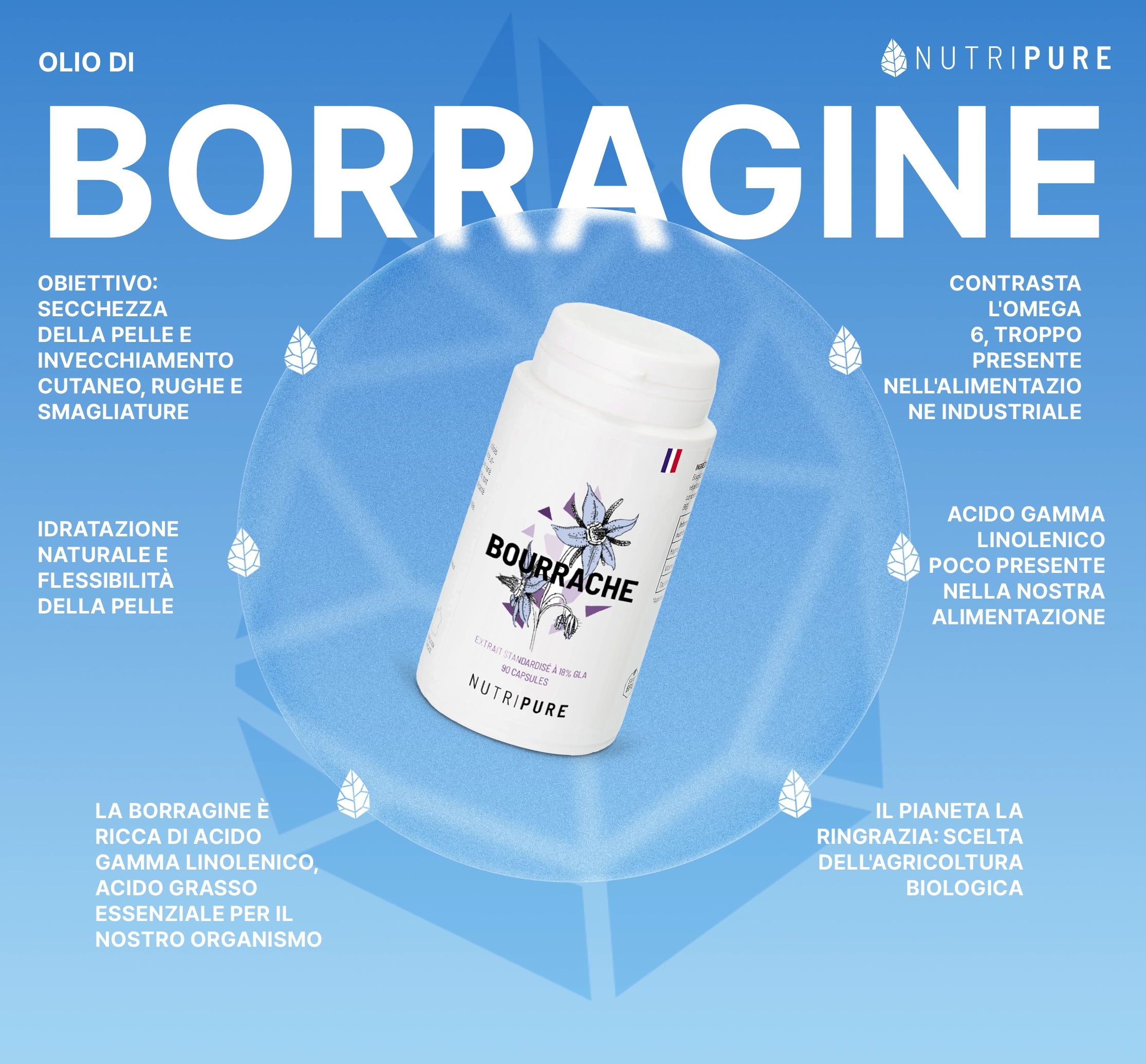 Olio di Borragine