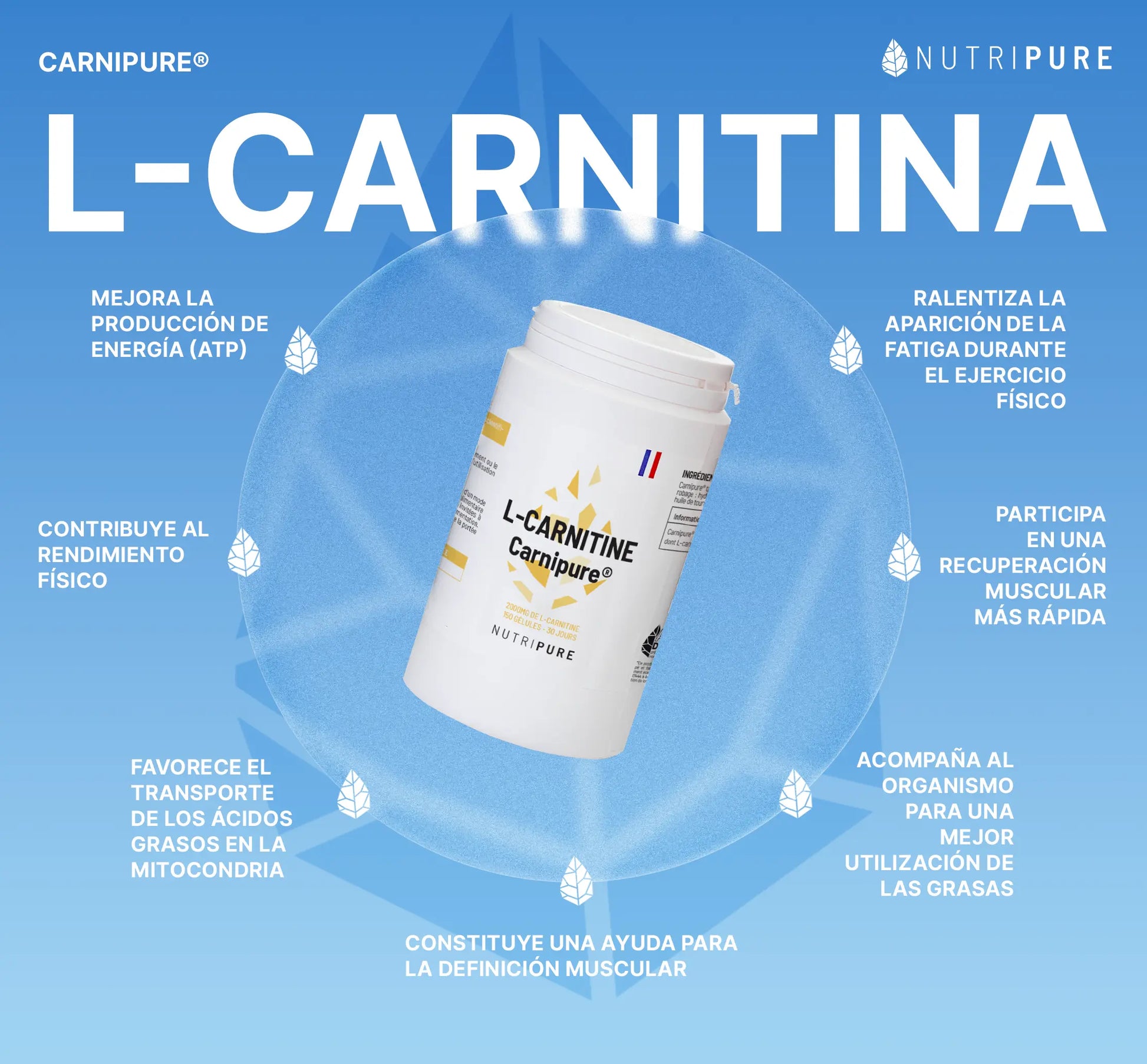 Carnitina Carnipure - Nutripure Carnitina Carnipure - Nutripure