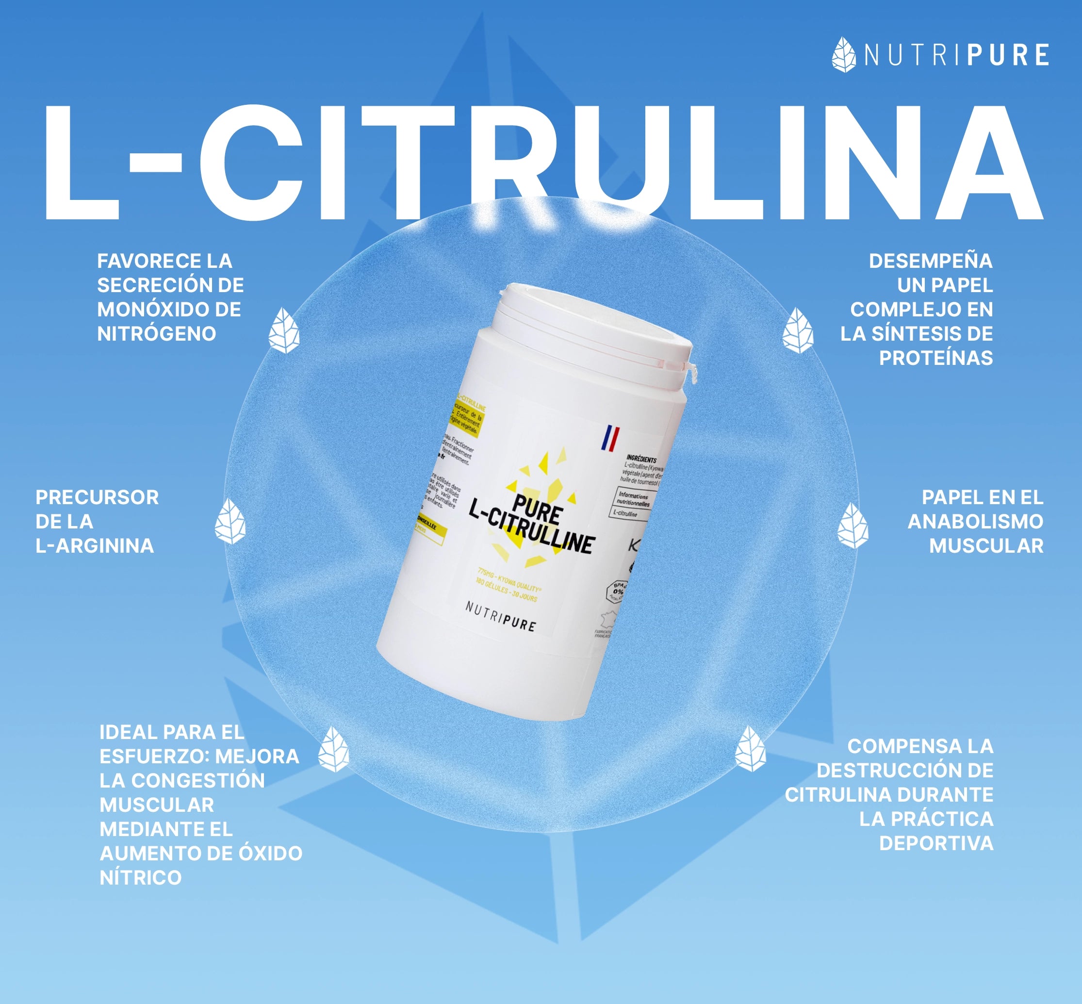 Citrulina