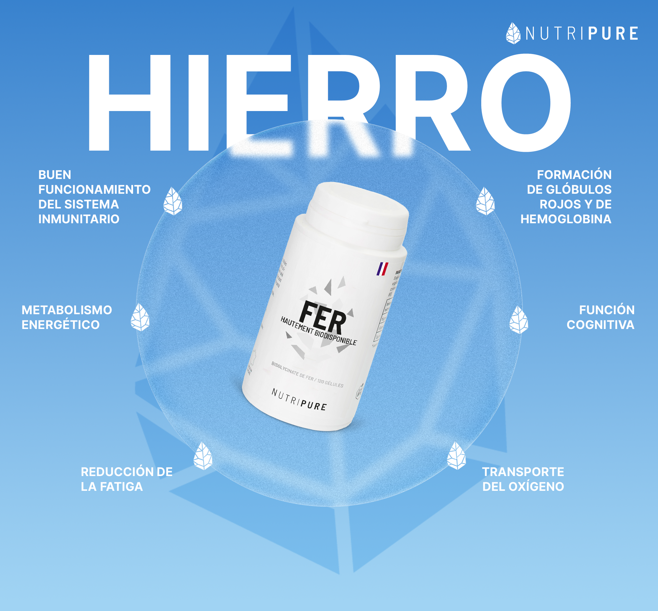 Bisglicinato de Hierro