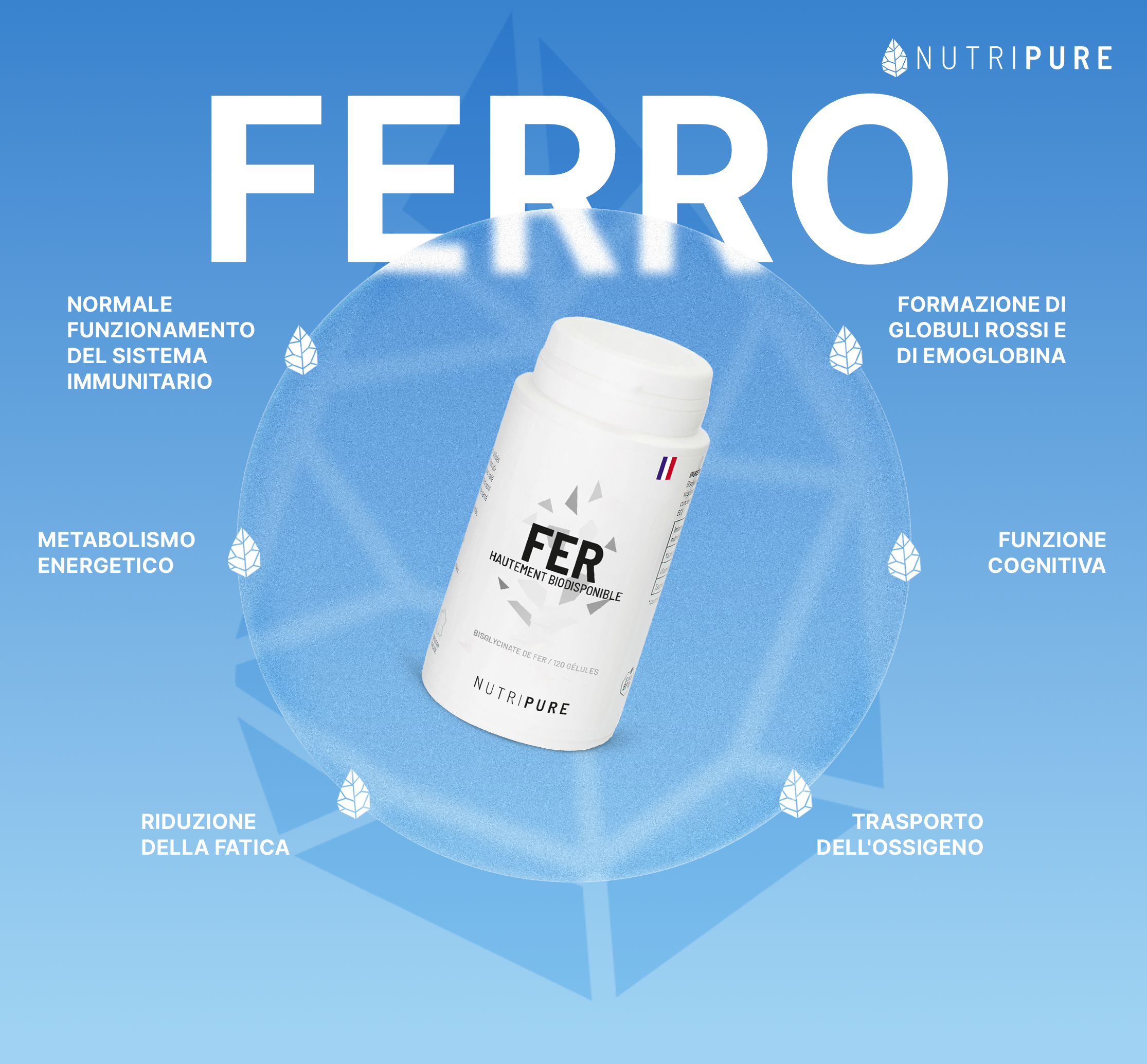 Bisglicinato di Ferro