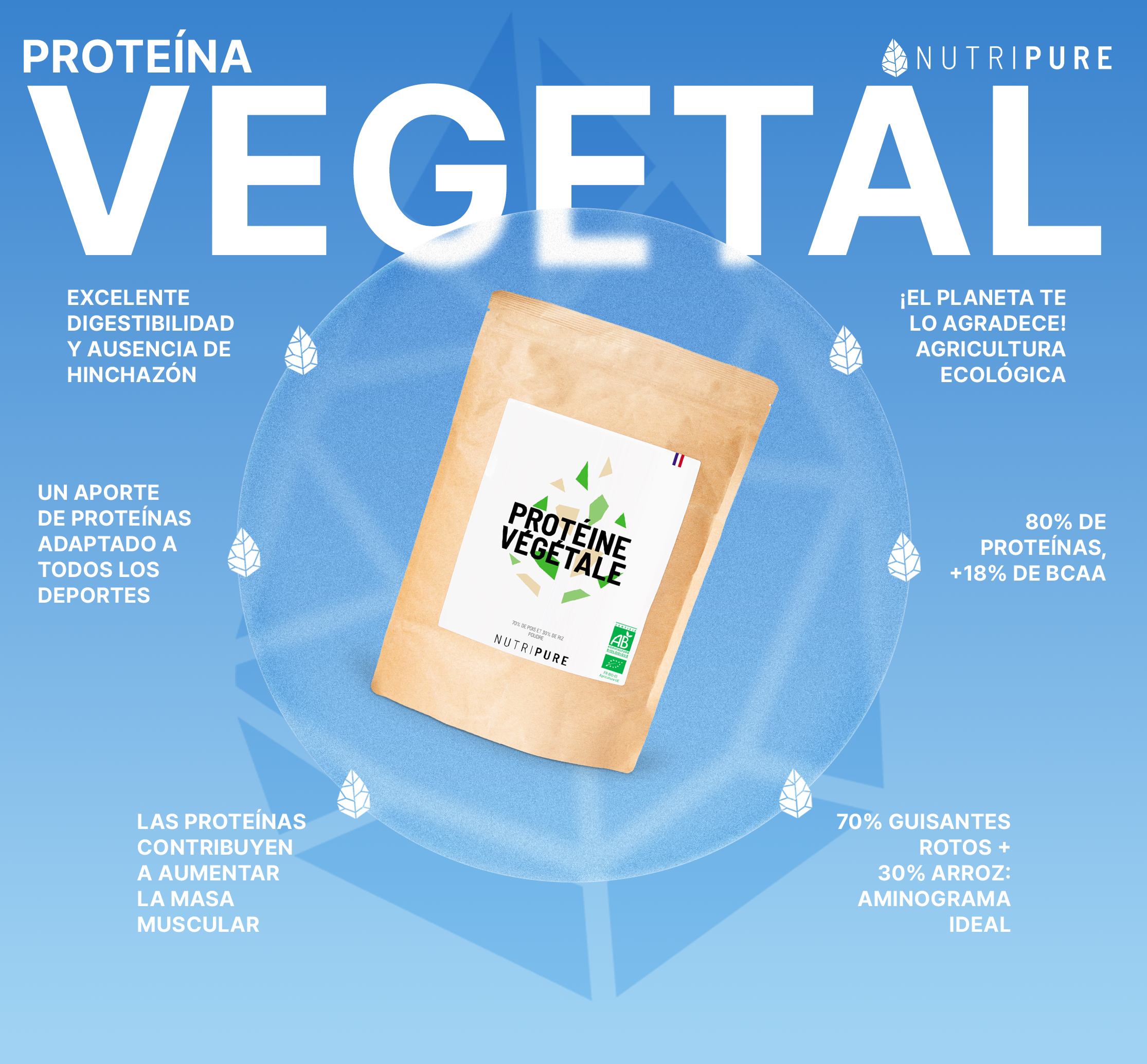 Proteína Vegetal Ecológica