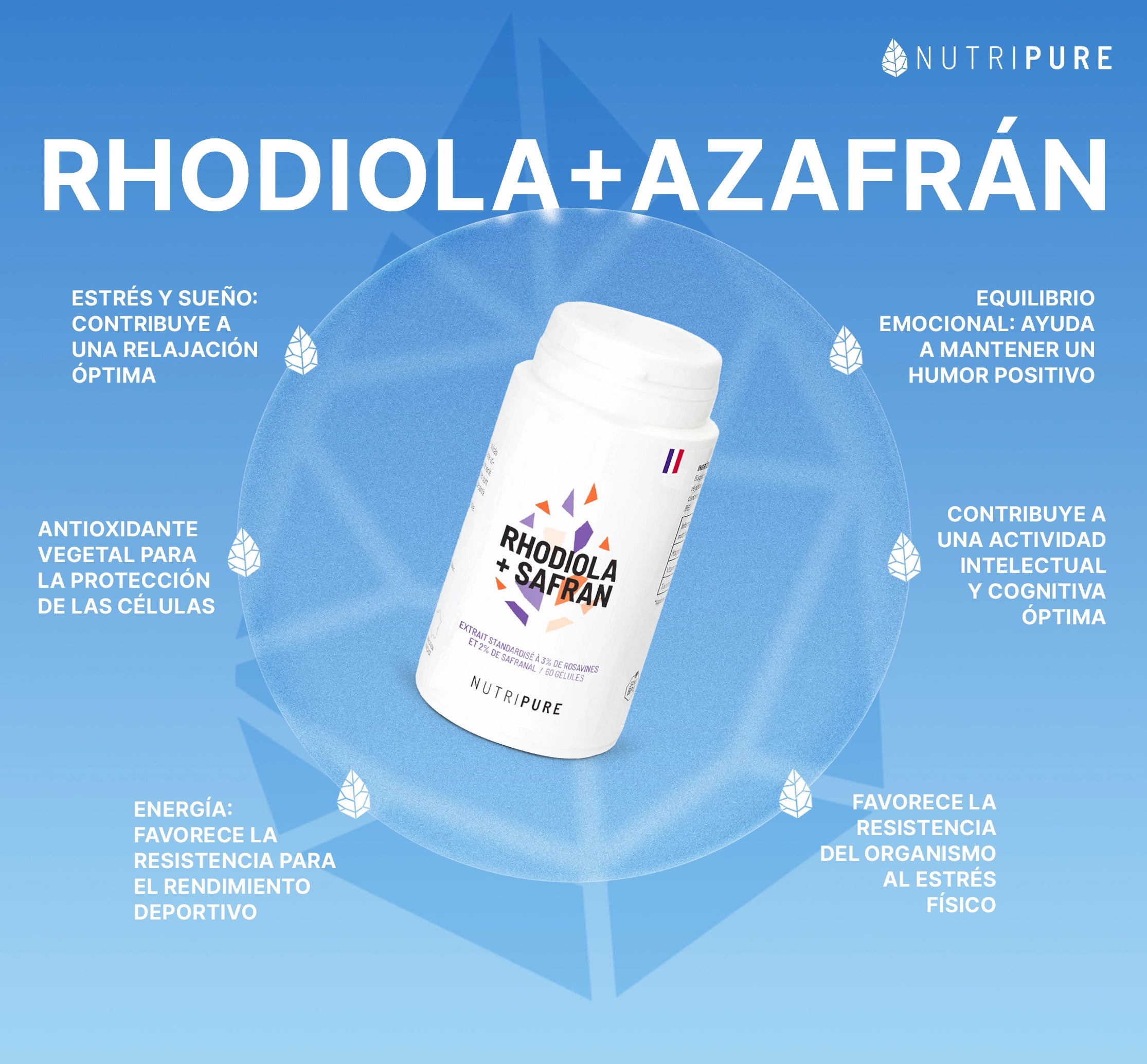 Rhodiola Rosea + Azafrán