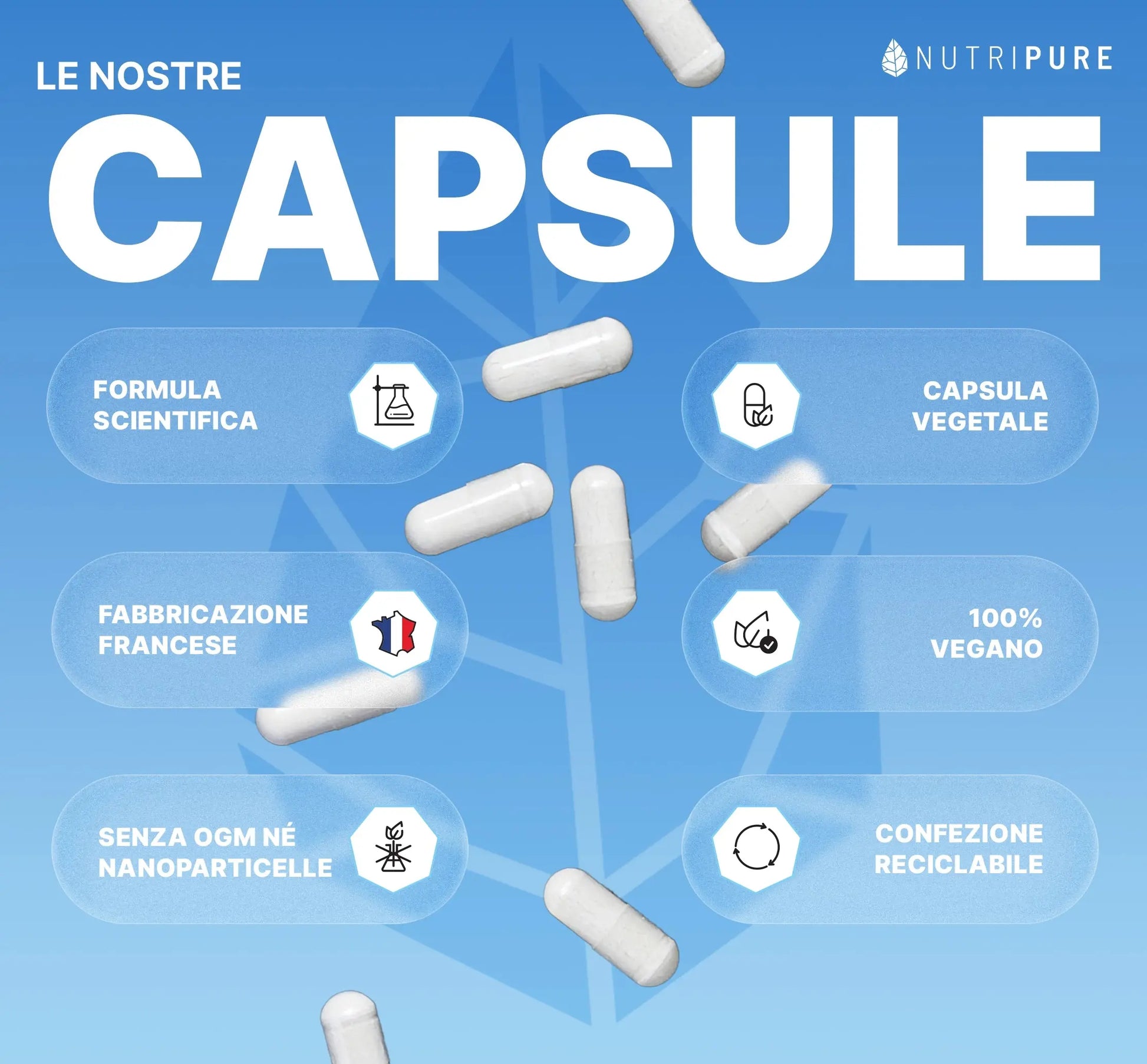 Magnesio Taurina B6 Nutripure