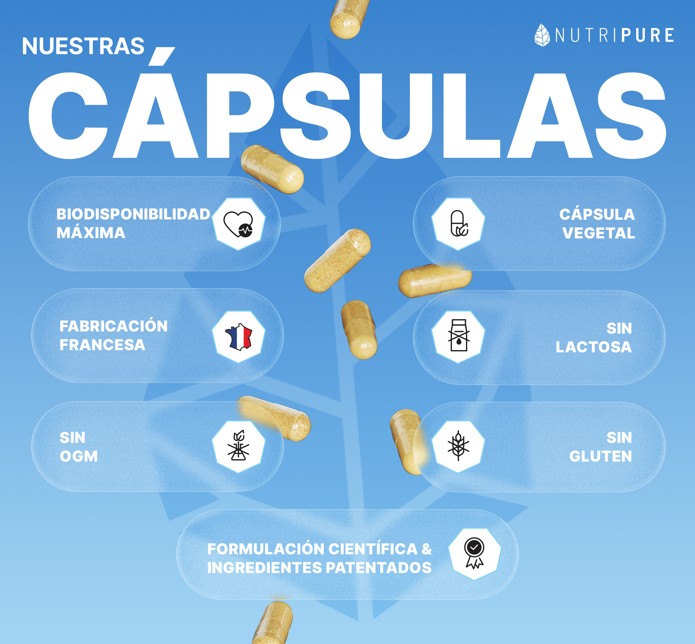 Multivitamínico