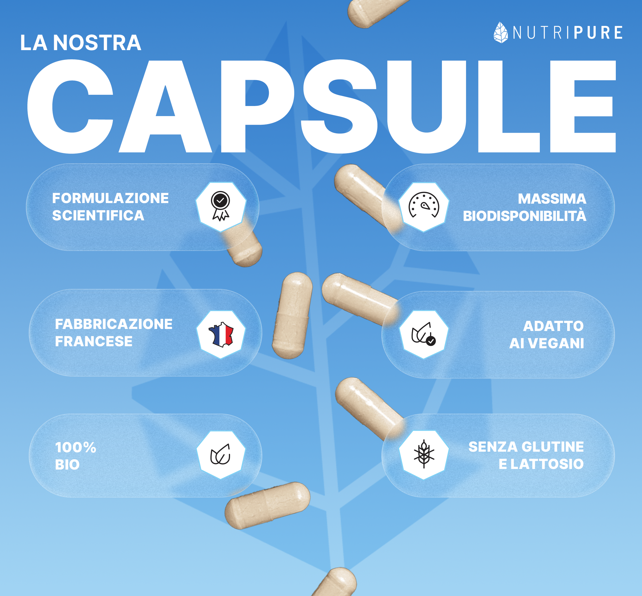 Ashwaganda bio KSM66