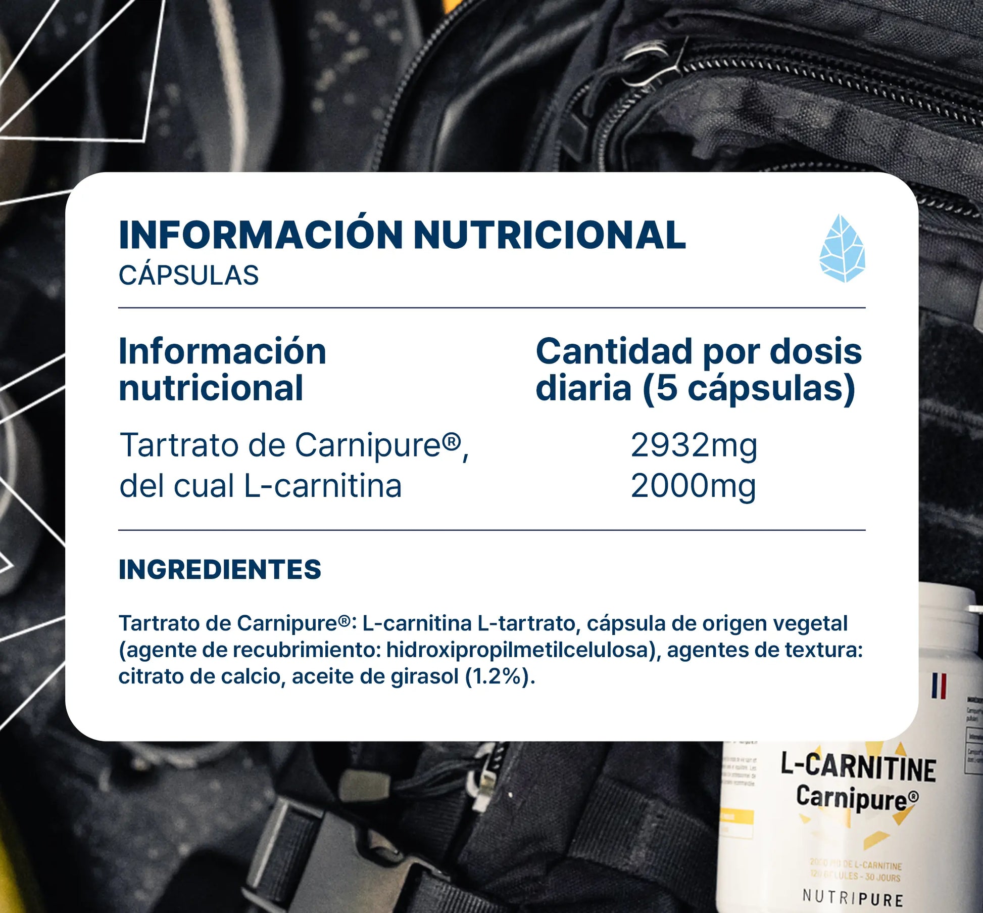 l carnitine для чего он нужен L-карнитин: для чего нужен женщинам и мужчинам и как его принимать l carnitine для чего он нужен L-карнитин: для чего нужен женщинам и мужчинам и как его принимать