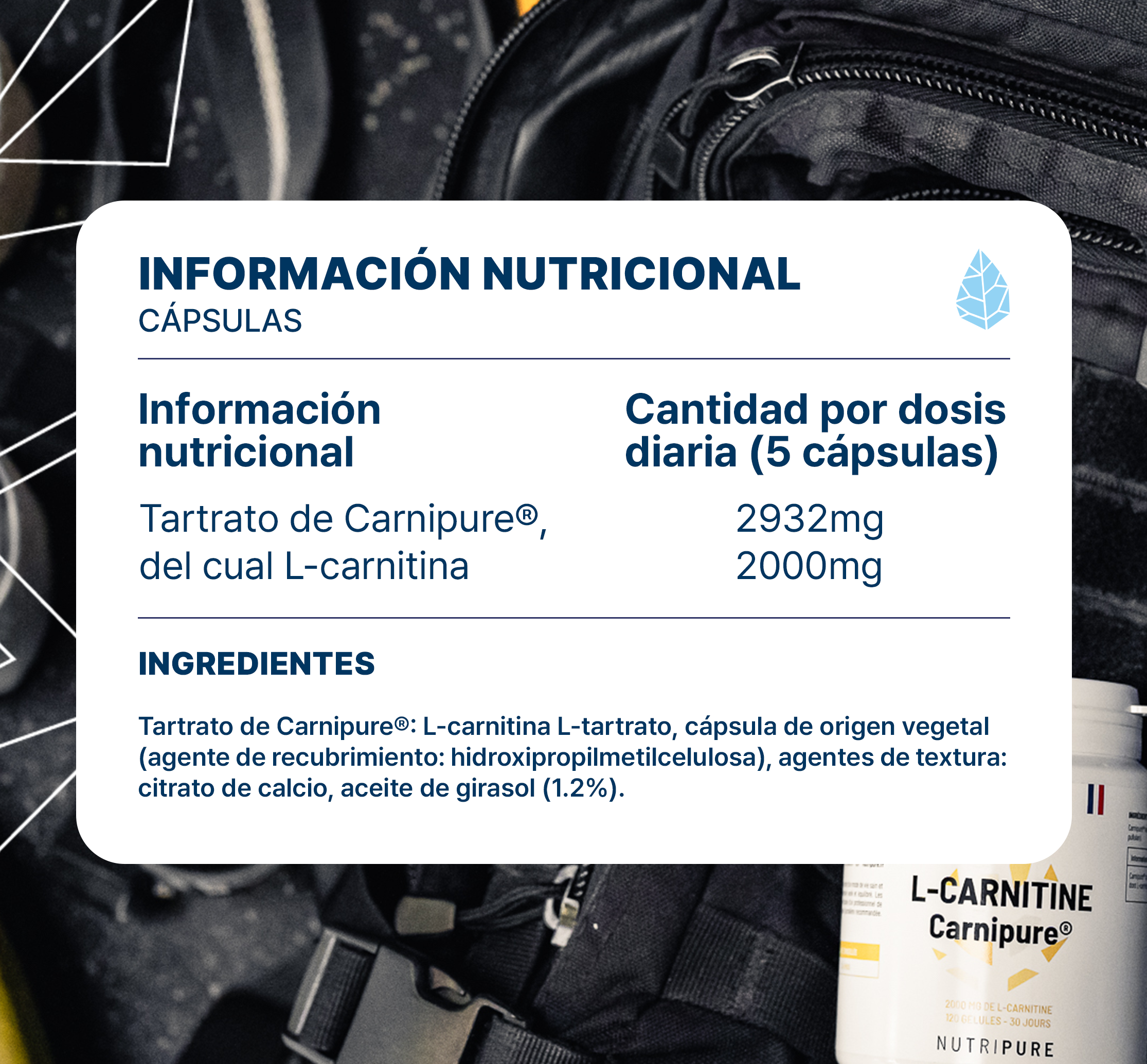 Carnitina Carnipure®