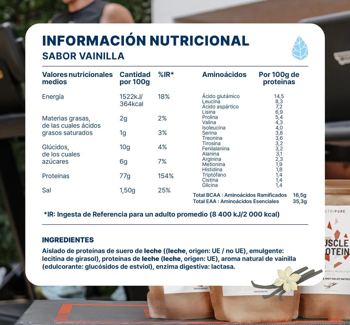 Muscle Protein