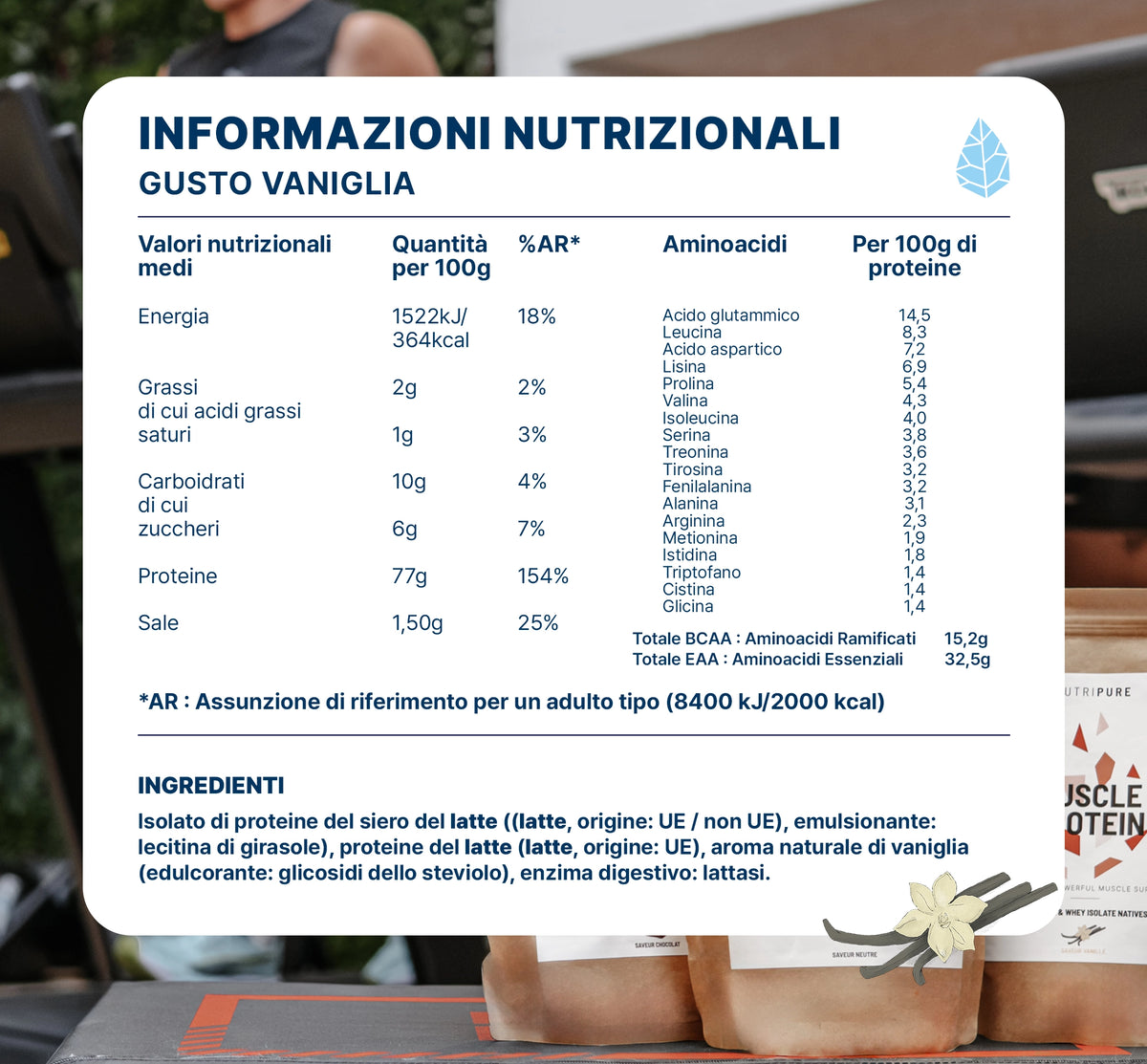 Muscle Protein