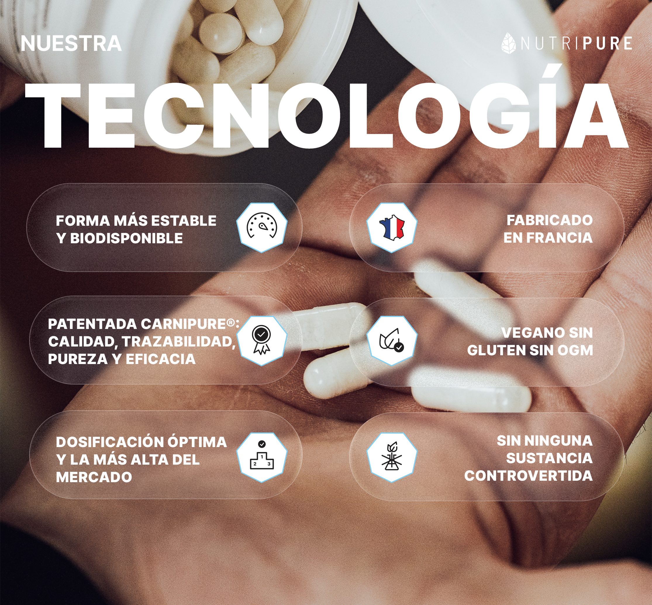 Carnitina Carnipure®