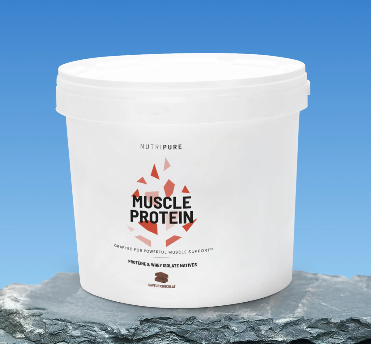 Muscle Protein