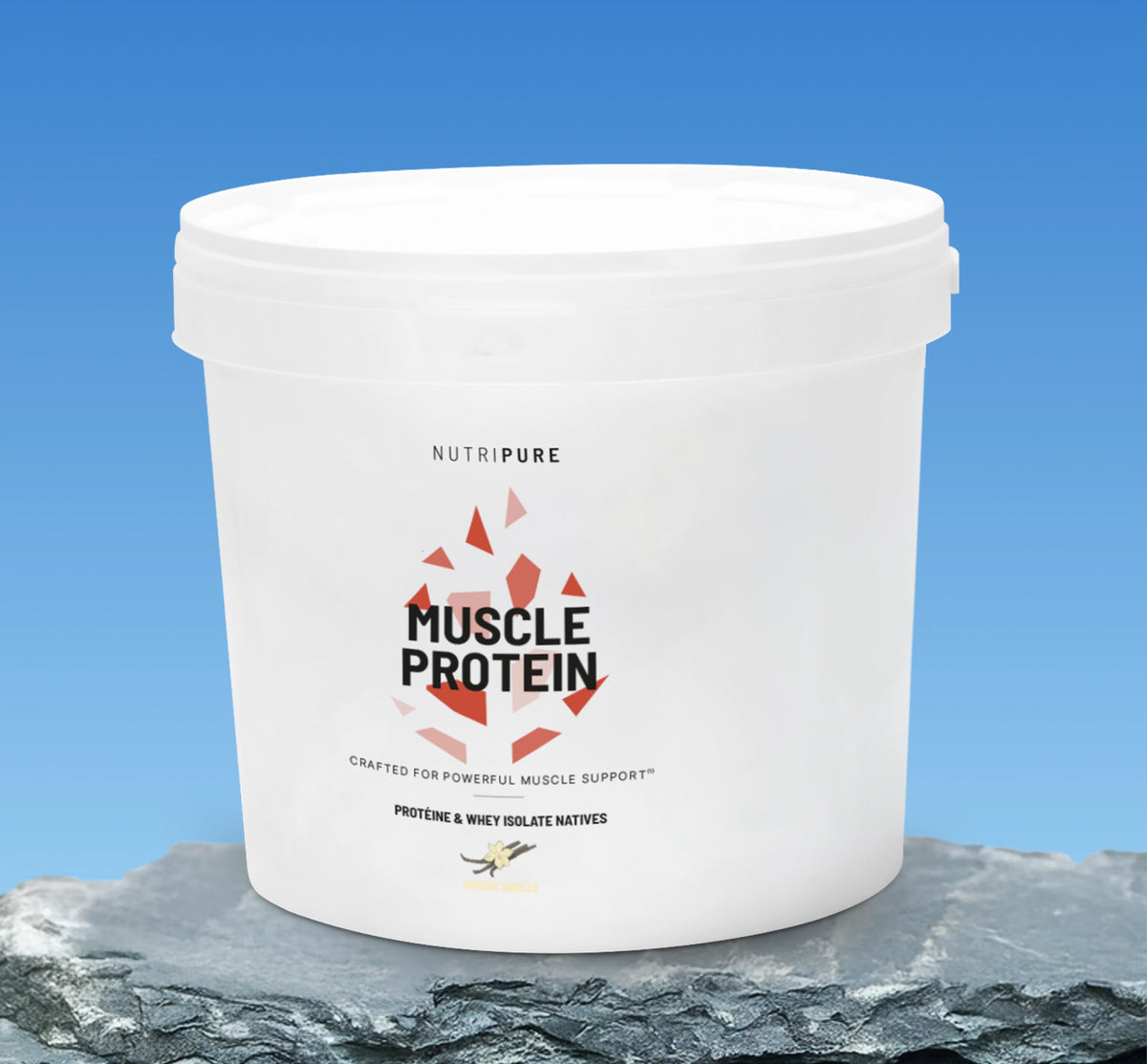 Muscle Protein