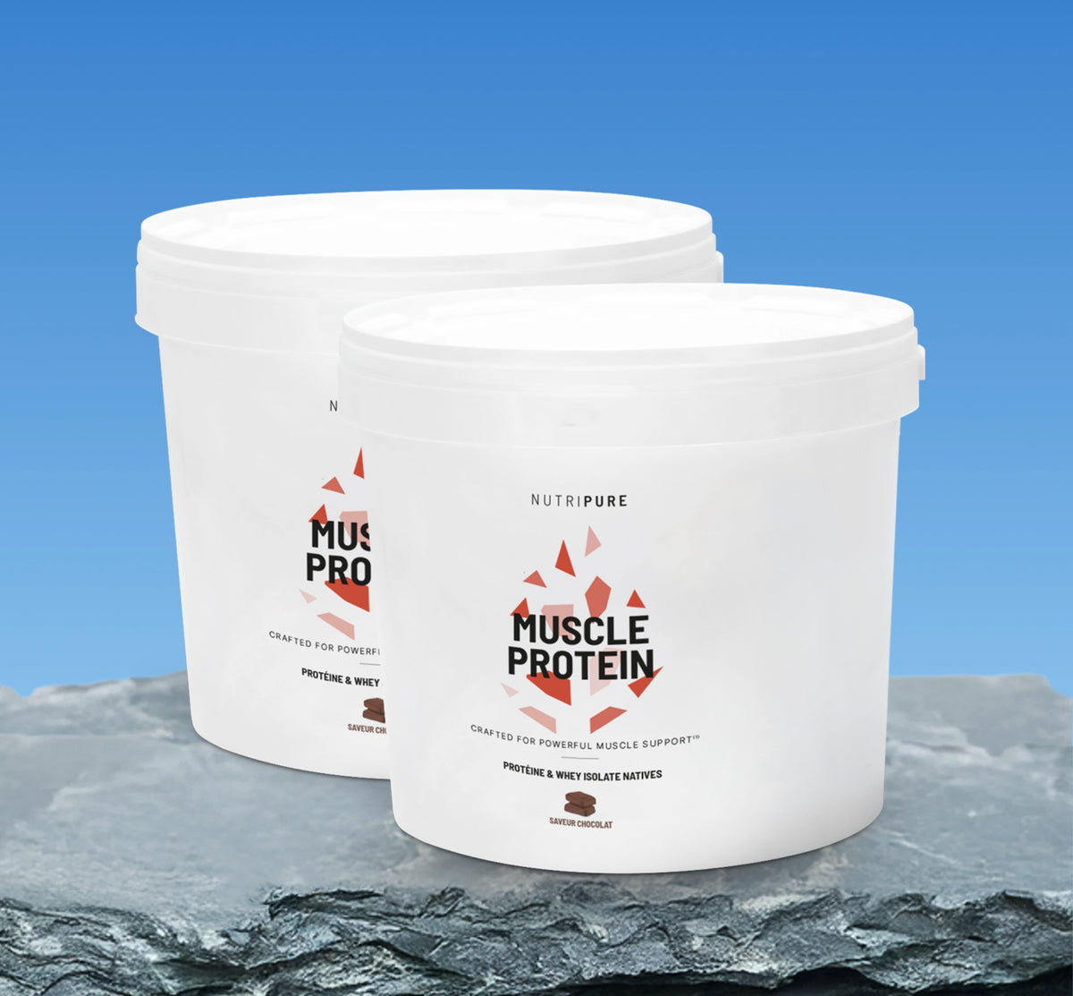 Muscle Protein