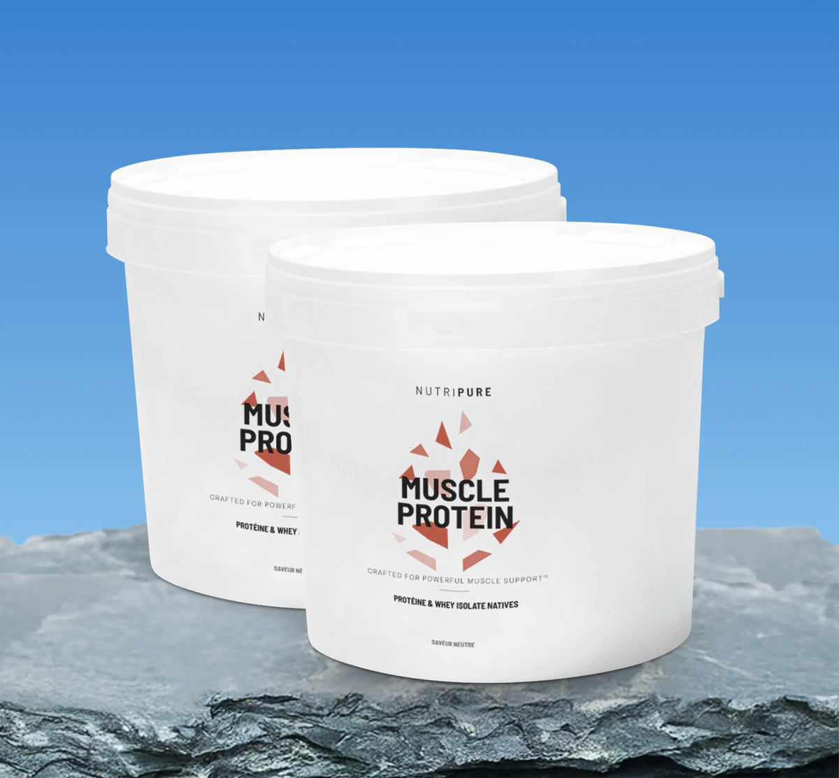 Muscle Protein