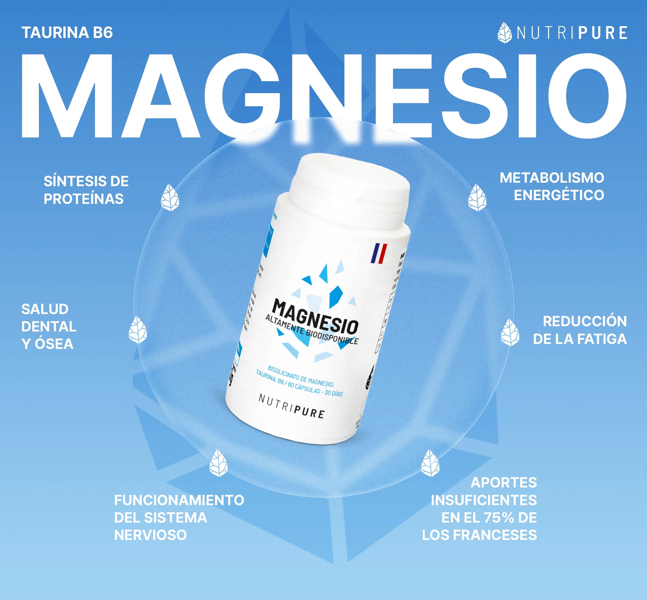 Bisglicinato de Magnesio